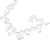 神经垂体素，127317-03-7，仅用科研